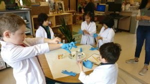 Children in a CRISPEE Camp participate in STEM-themed activities such as this microscope center