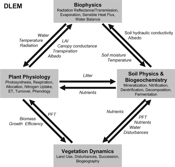 Figure-1-Dynamic-Land-Ecosystem-Model-DLEM.png