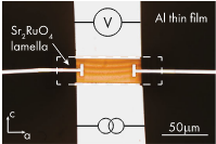 Layered metals as polarized transparent conductors