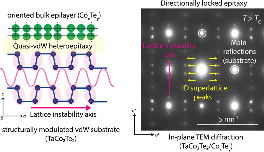 Directionally Locked Heteroepitaxy with a Structurally Modulated van der Waals Material